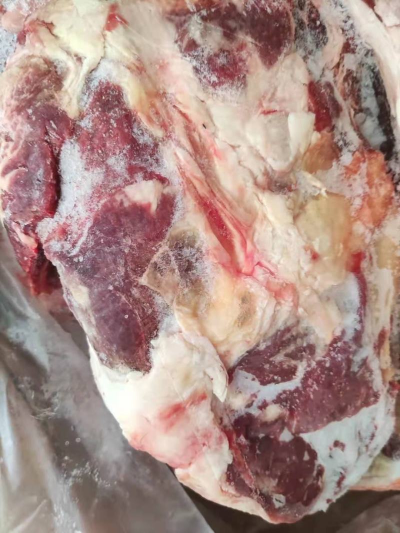 牛肉四分体