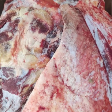 牛肉四分体