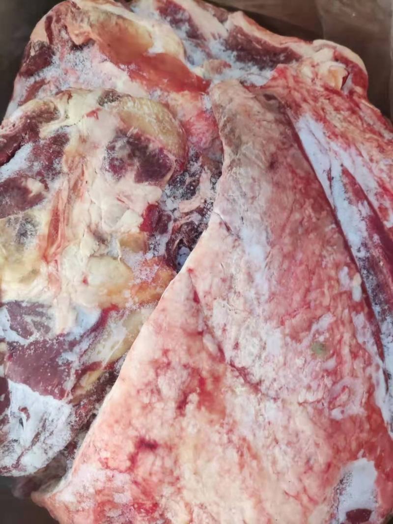 牛肉四分体