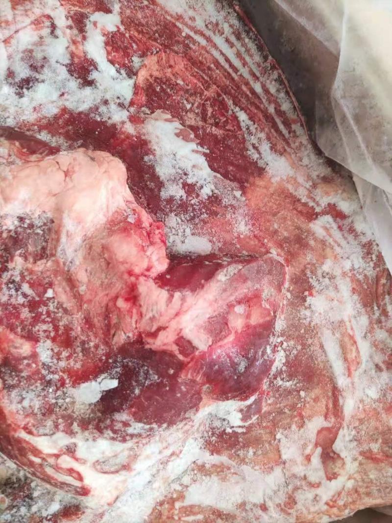 牛肉四分体