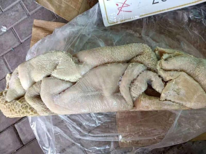 好牛肚