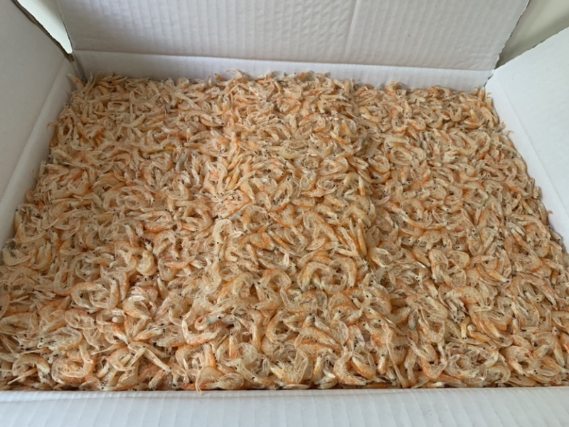 红膏虾皮芒种虾皮