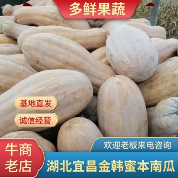 南瓜金韩蜜本南瓜老南瓜产地一手货源