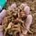 烘干陈皮丝，纯桔子皮，无杂皮，含量够，统货