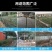 荷兰网硬铁丝网围栏养殖网养鸡网护栏防护网钢丝网隔离