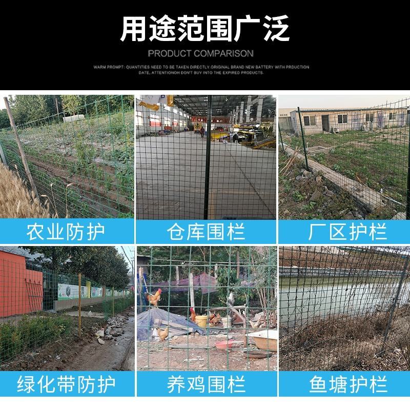 荷兰网硬铁丝网围栏养殖网养鸡网护栏防护网钢丝网隔离