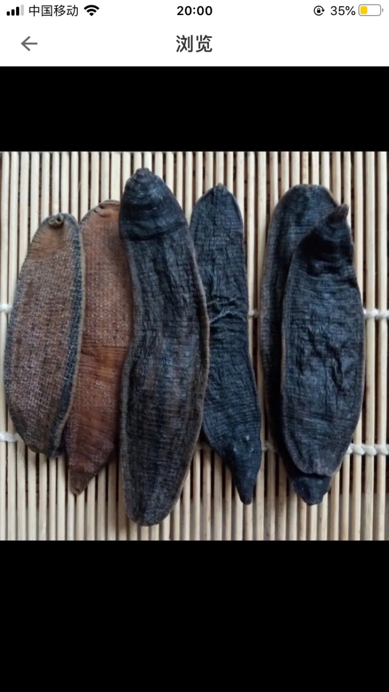 中药材金边水蛭蚂蝗干货另有清水吊干水蛭干货