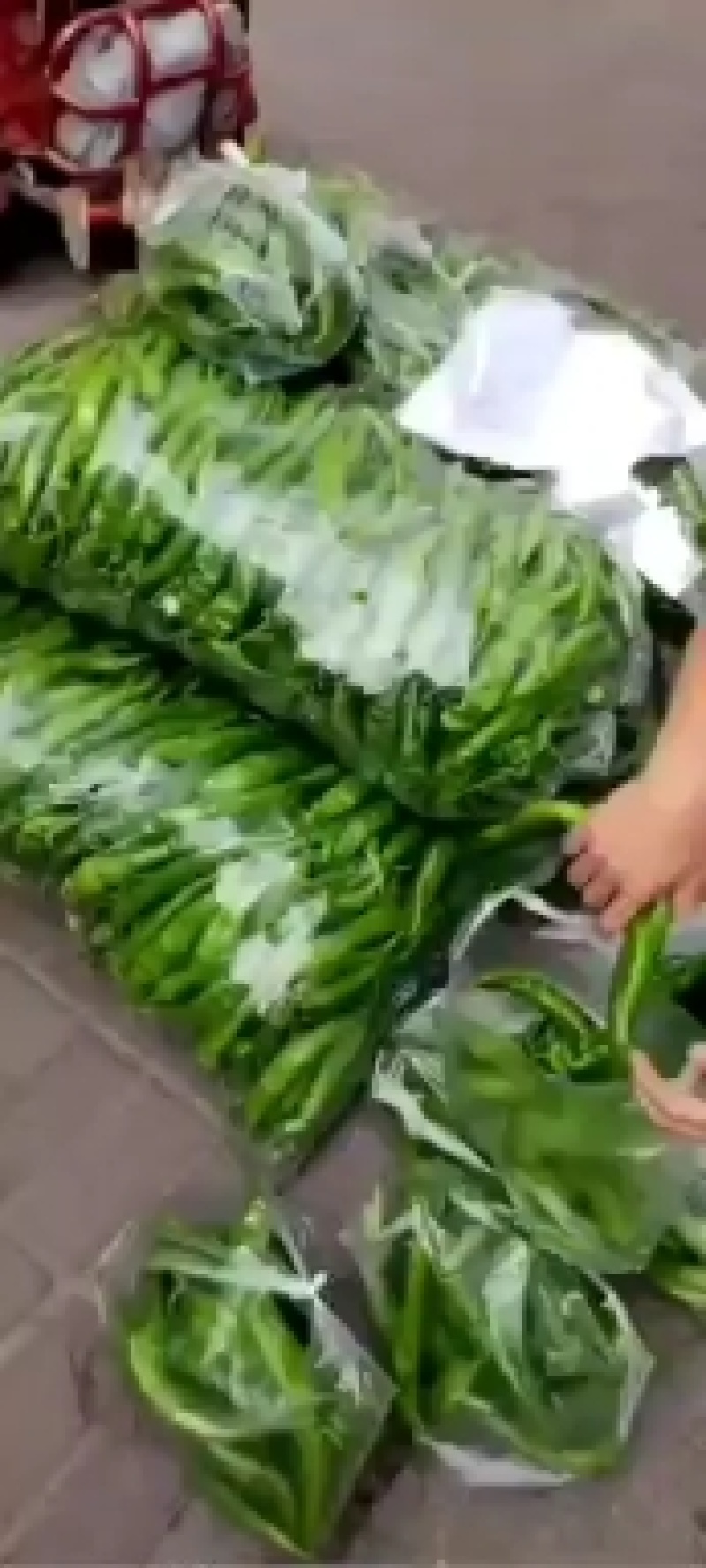 精品辣椒大量有货，产地直销批发零售！需要的联系