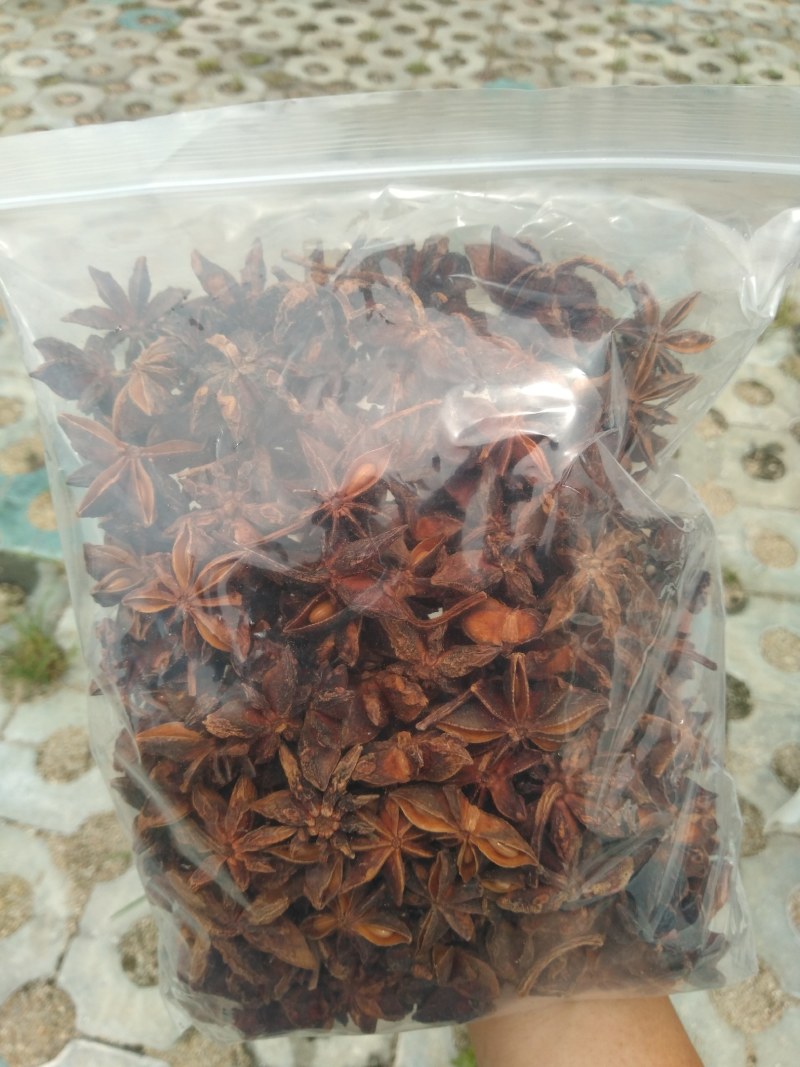 正宗广西大红八角卤肉香料大茴香大料一件代发
