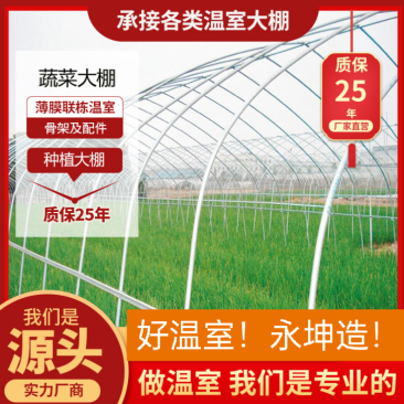 西瓜大棚蔬菜大棚草莓大棚西瓜大棚大棚架厂家直发