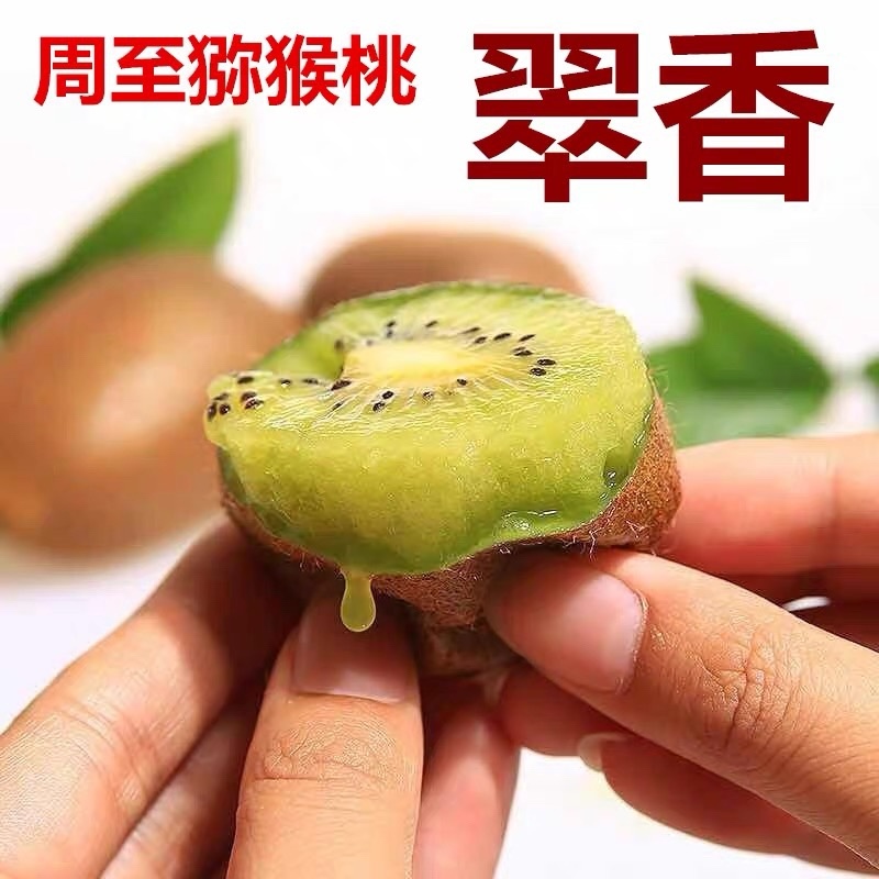 周至翠香猕猴桃绿心猕猴桃欢迎落地配电商对接