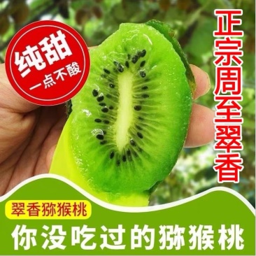 周至翠香猕猴桃绿心猕猴桃欢迎落地配电商对接