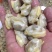 油甲肉花甲肉活螺冻肉