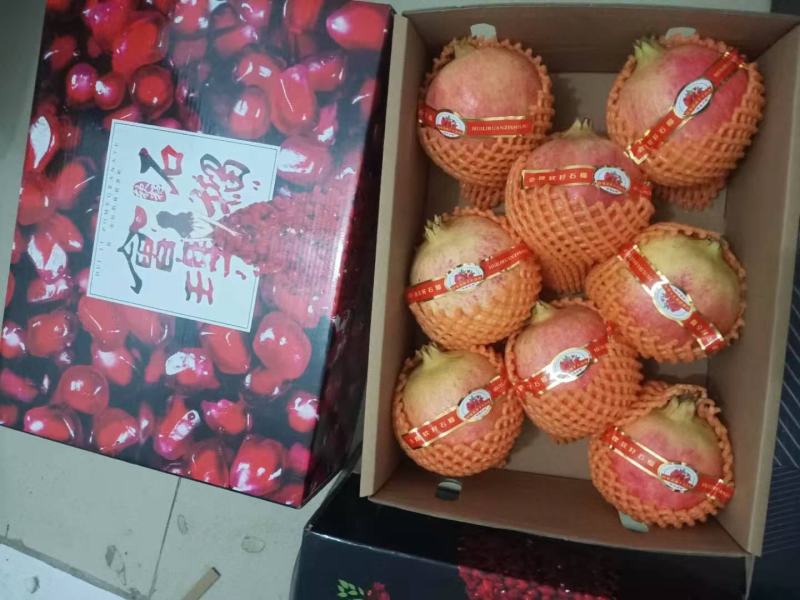 大凉山会理软籽石榴，果园基地直发，质量保证