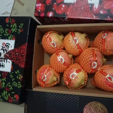大凉山会理软籽石榴，果园基地直发，质量保证