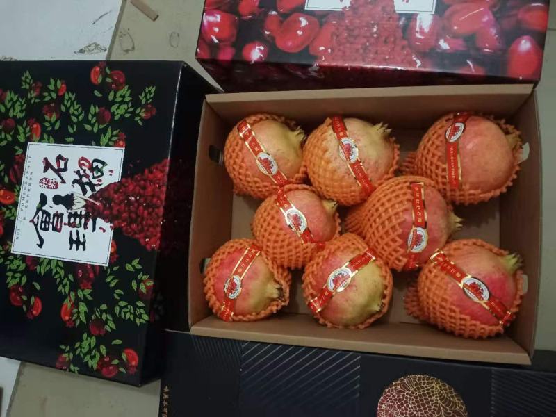 大凉山会理软籽石榴，果园基地直发，质量保证