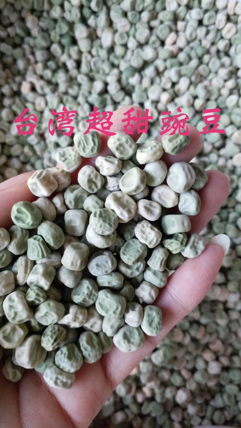 【甜豌豆】甜豌豆台湾超甜豌豆水果型可生吃香甜高产优质种子