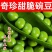 月亮湾水果甜豌豆香甜脆嫩可带壳生吃的高产优质种子
