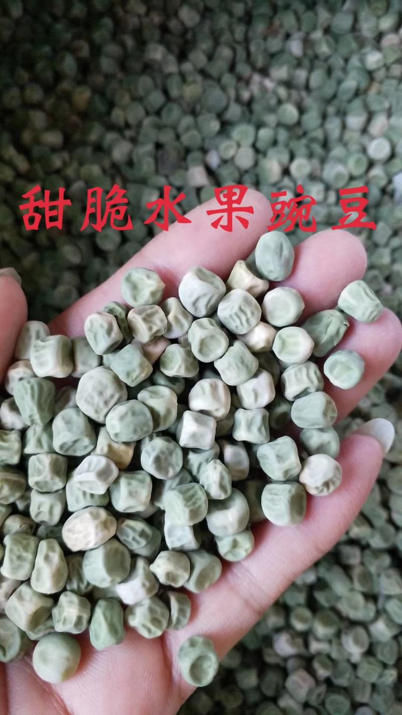 月亮湾水果甜豌豆香甜脆嫩可带壳生吃的高产优质种子