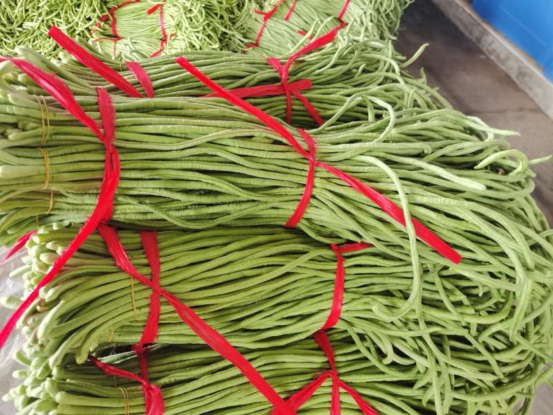 豆角万亩豇豆大量上市欢迎各位老板前来选购