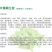 【荷兰豆】大荚脆嫩荷兰豆白花大荚四季可种高产优质种子