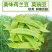 【荷兰豆】大荚脆嫩荷兰豆白花大荚四季可种高产优质种子