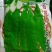 【荷兰豆】大荚脆嫩荷兰豆白花大荚四季可种高产优质种子
