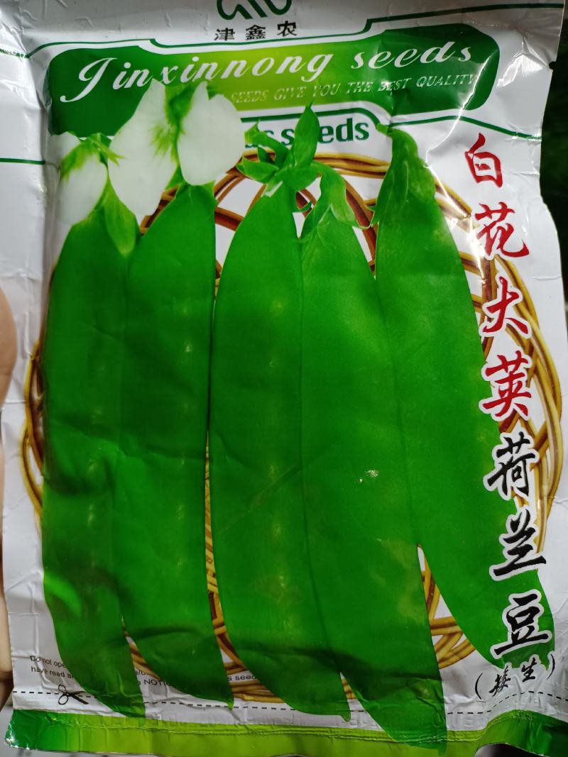 【荷兰豆】大荚脆嫩荷兰豆白花大荚四季可种高产优质种子