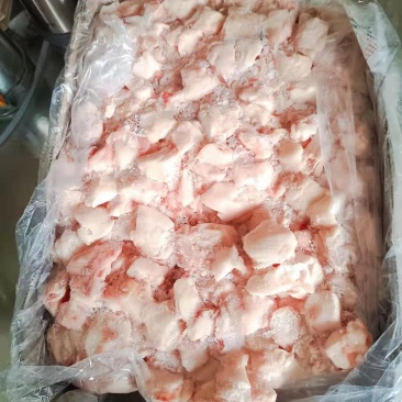 国产肥猪蘑菇筋烧烤伴侣