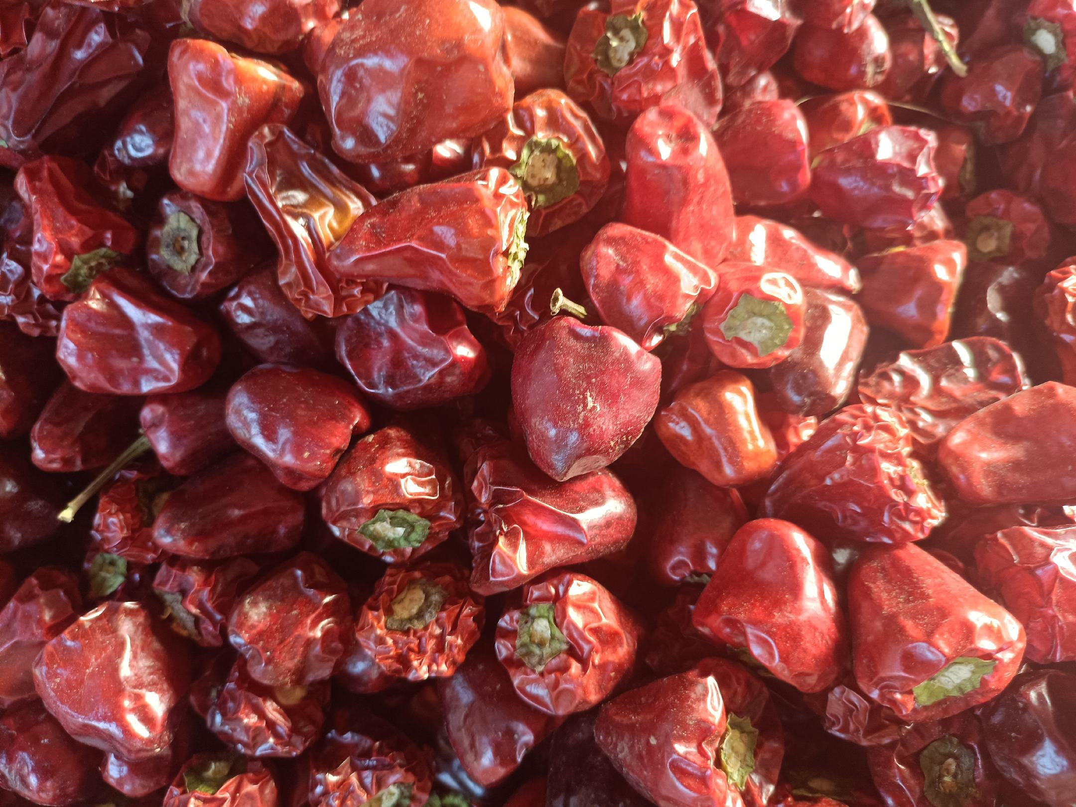 黑色干辣椒与普通红干辣椒对比图