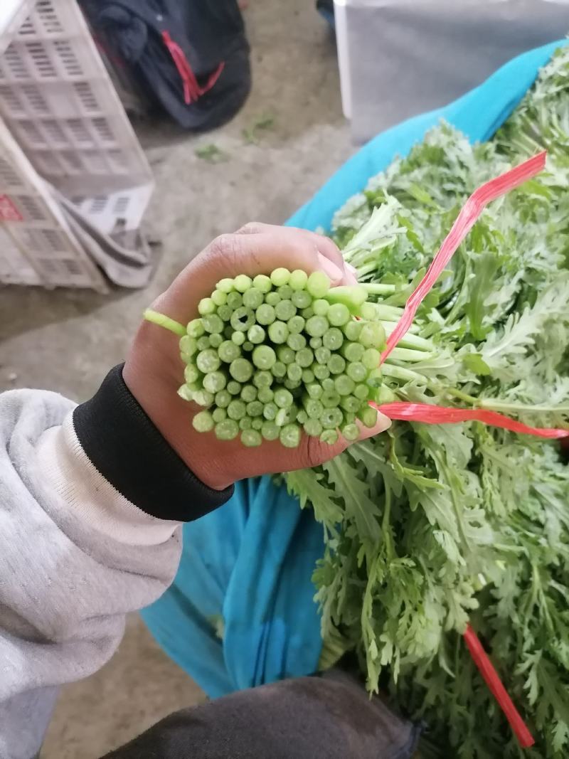 茼蒿