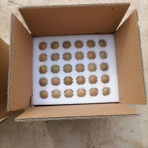 山东野鸡蛋一箱60和1008枚，欢迎选购，农户直发