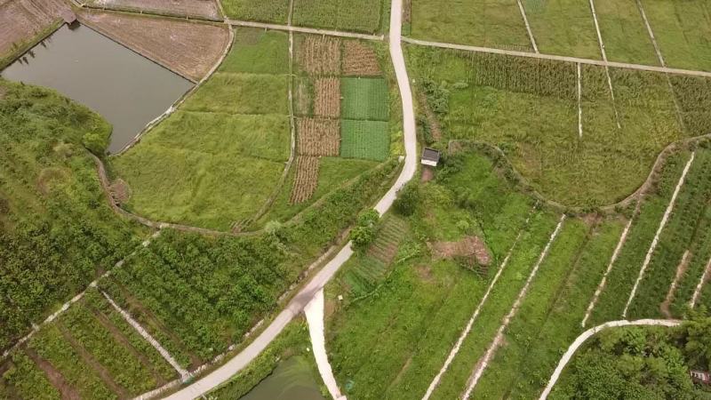 大棚，果园，鱼塘出租