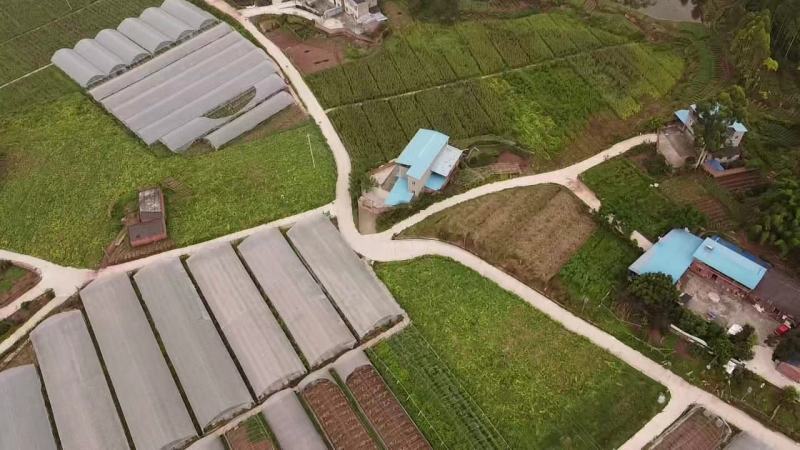 大棚，果园，鱼塘出租