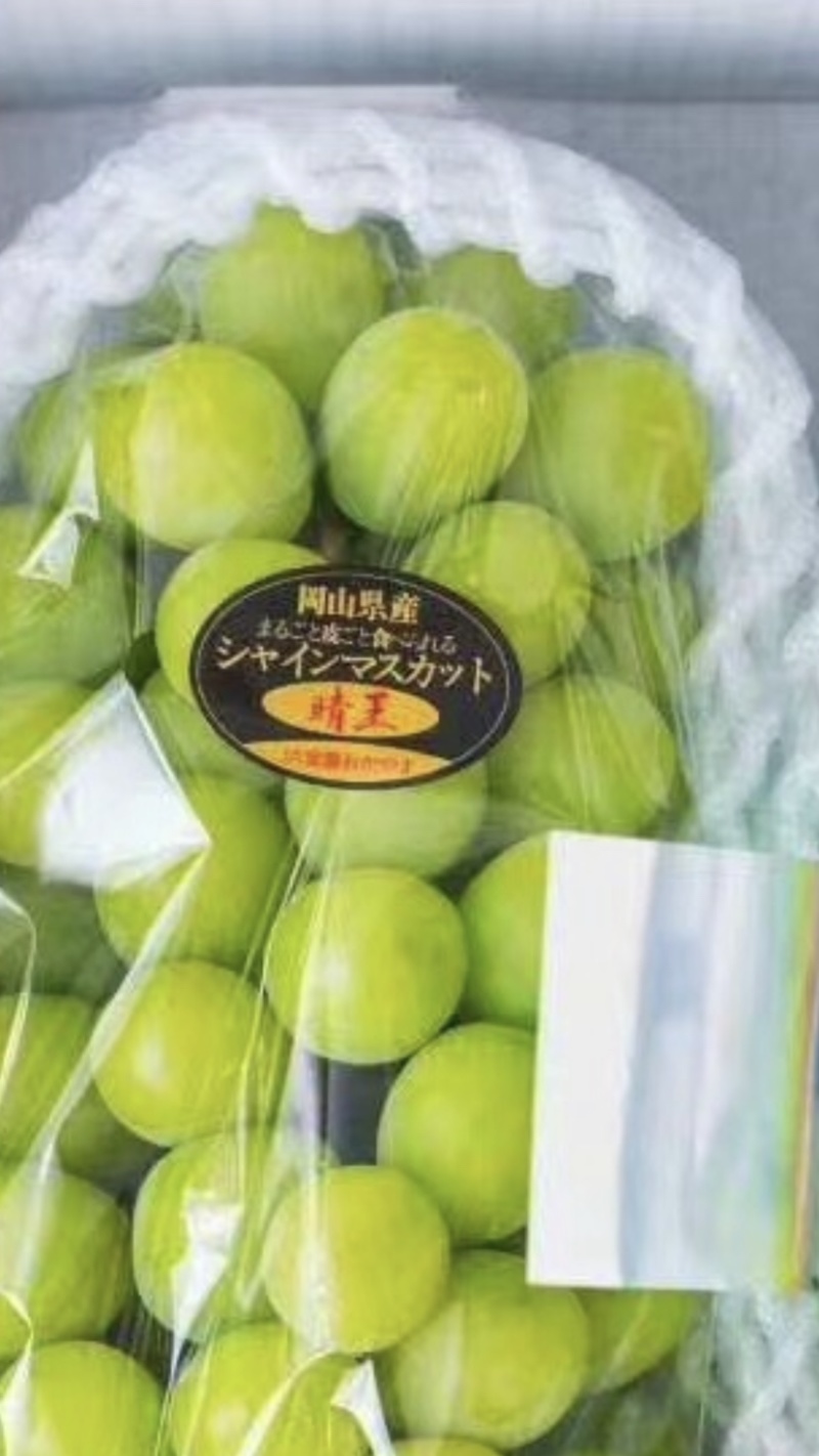 阳光玫瑰葡萄包装袋
