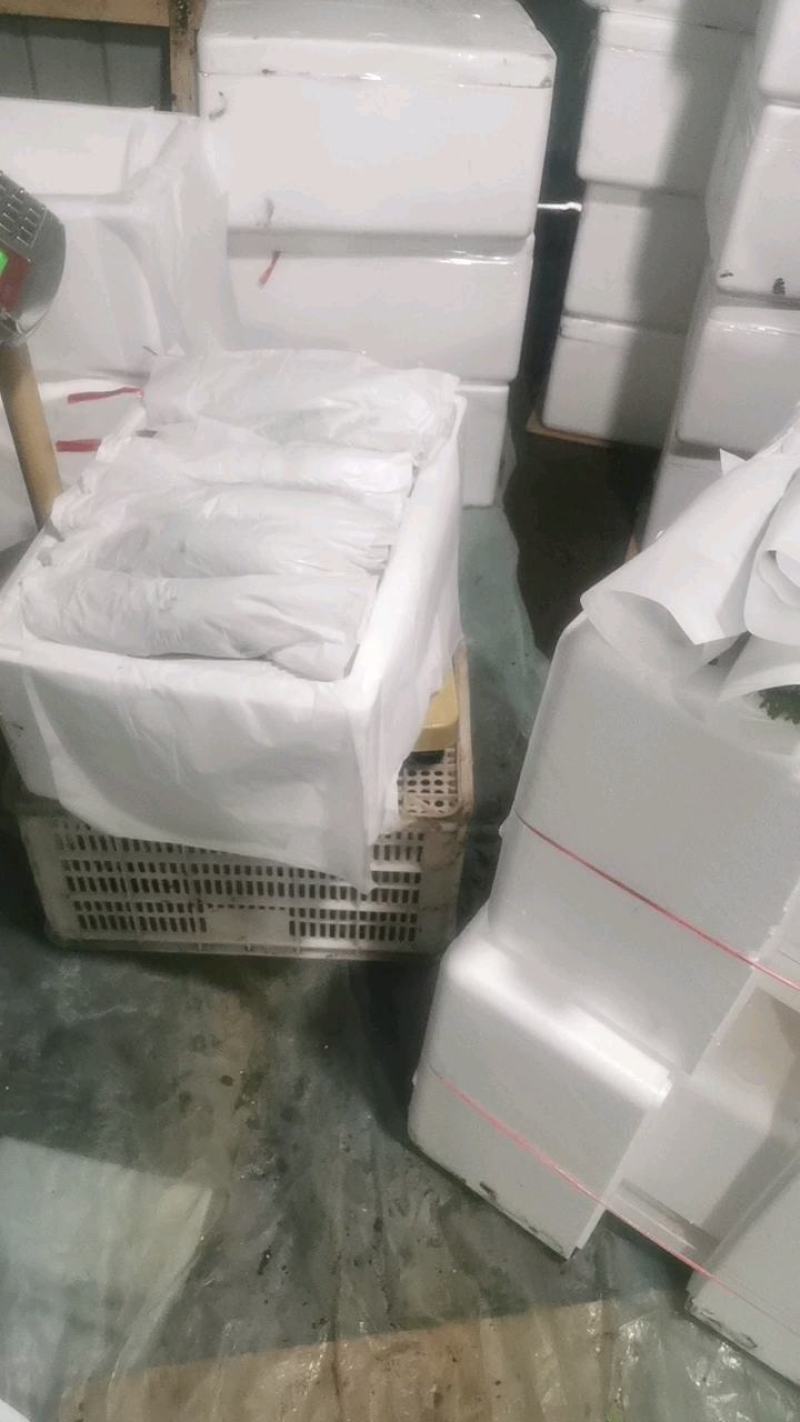 张北精品茼蒿基地直发质量有保证、全国代发车。