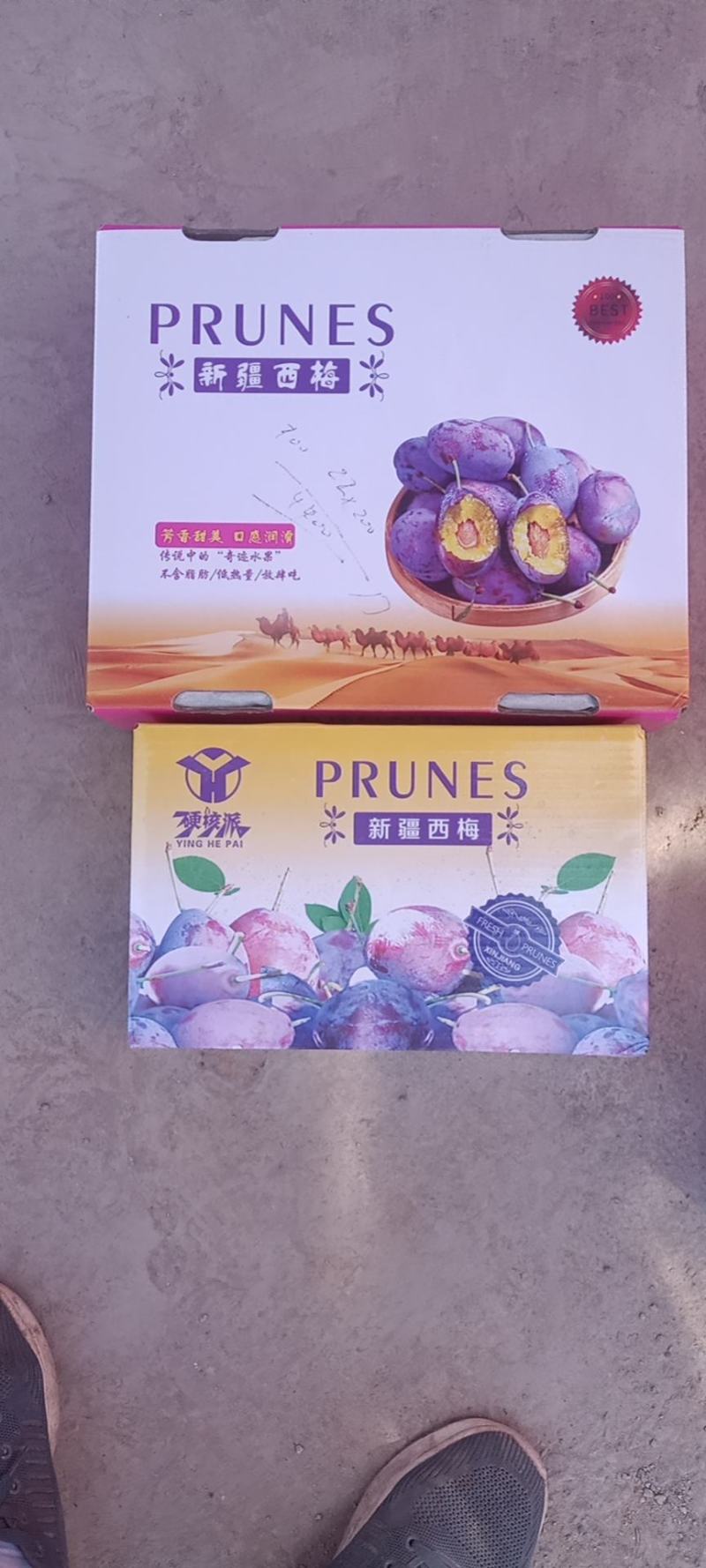 新疆喀什伽师县法兰西小西梅
