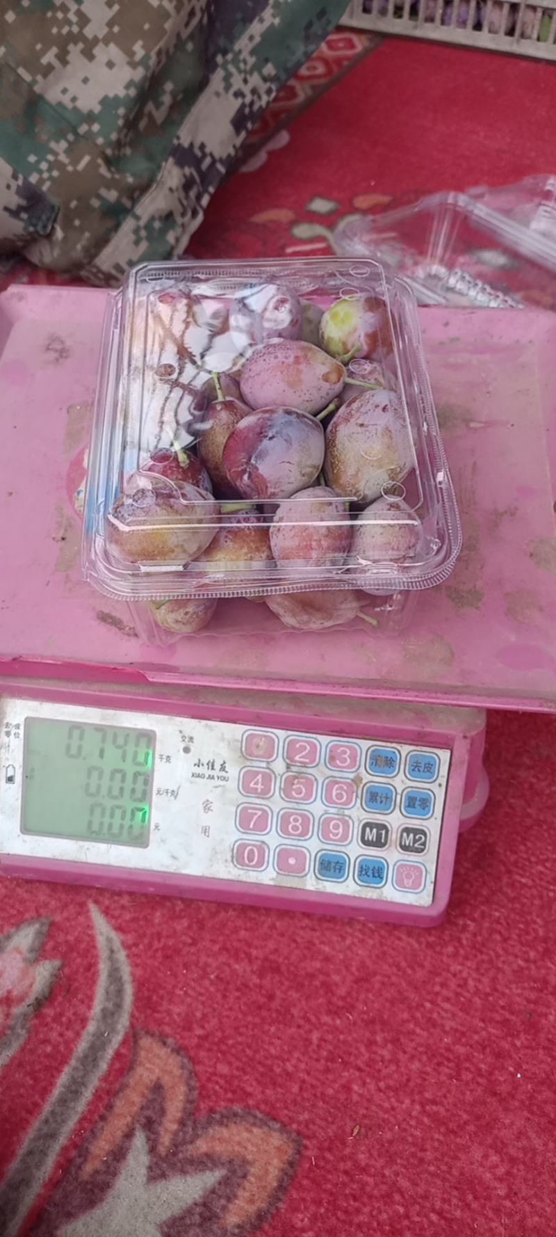 新疆喀什伽师县法兰西小西梅
