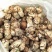 川西高原松茸各种野生菌