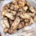 川西高原松茸各种野生菌
