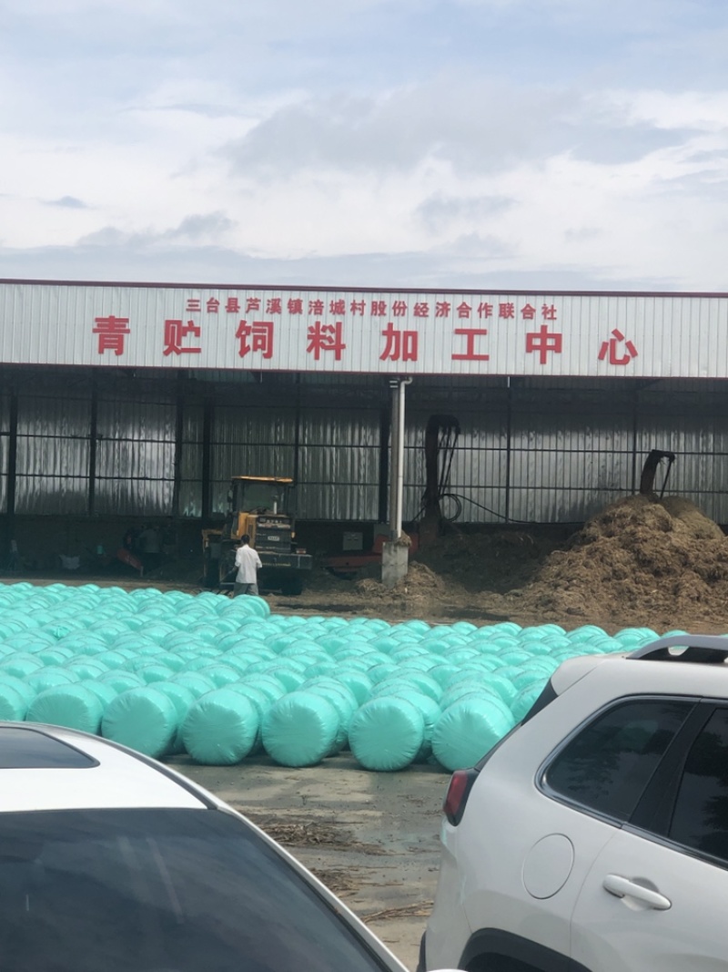 玉米秸秆青贮牛羊草料玉米秸秆青贮青储