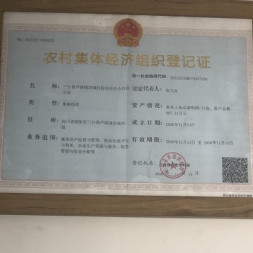 玉米秸秆青贮牛羊草料玉米秸秆青贮青储