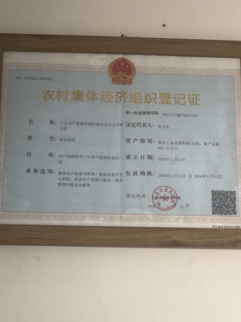 玉米秸秆青贮牛羊草料玉米秸秆青贮青储