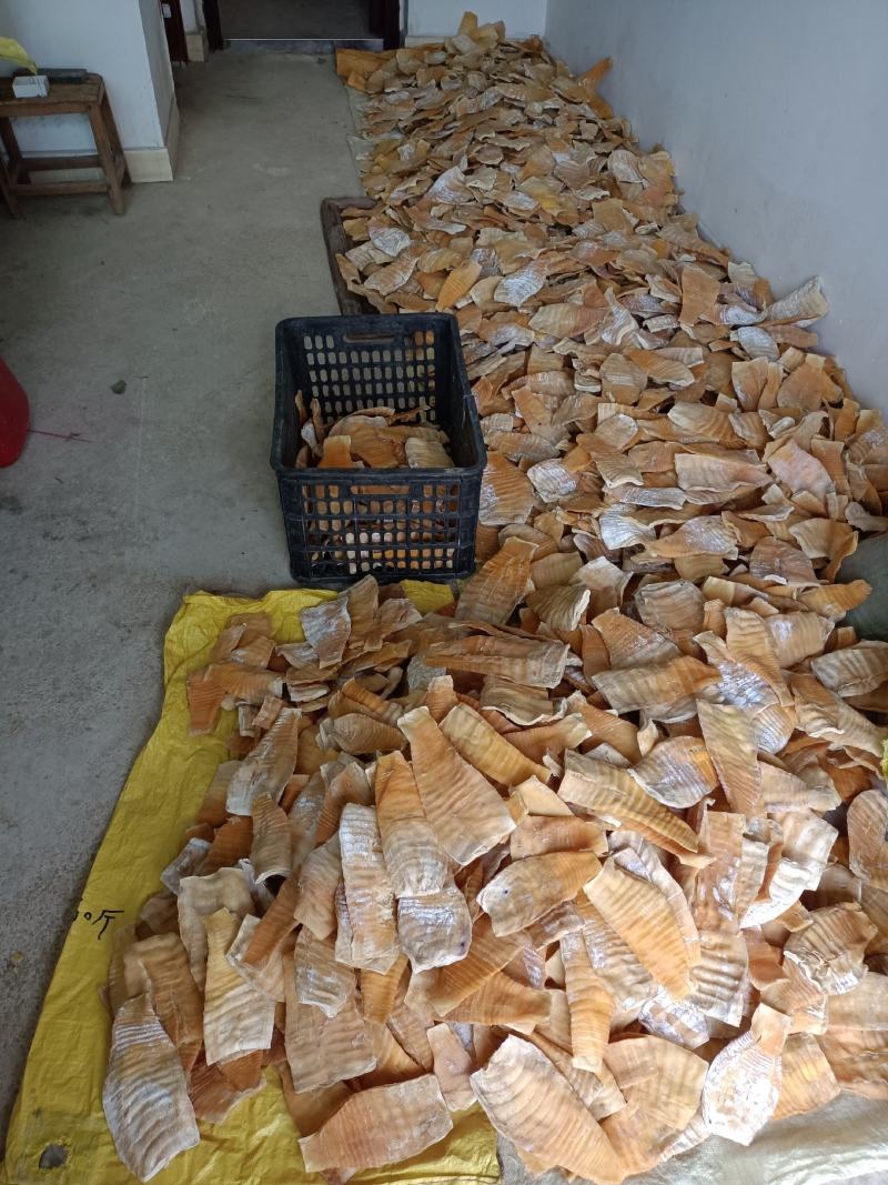 凤尾笋干新货嫩笋片笋干冬笋笋尖毛竹笋楠竹笋类食材量大批发