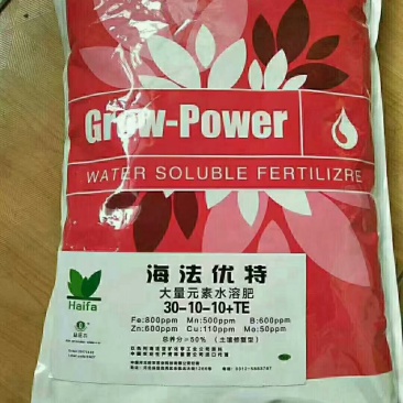 海法优特