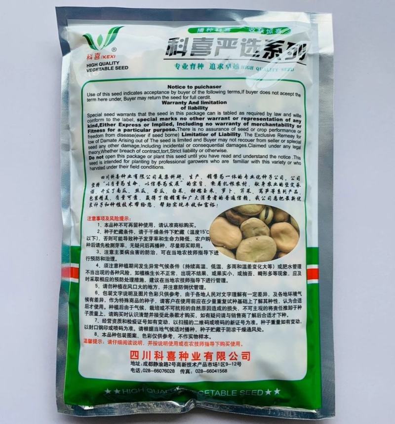 蚕豆种子七粒香荚长粒大抗病力强产量高品质好