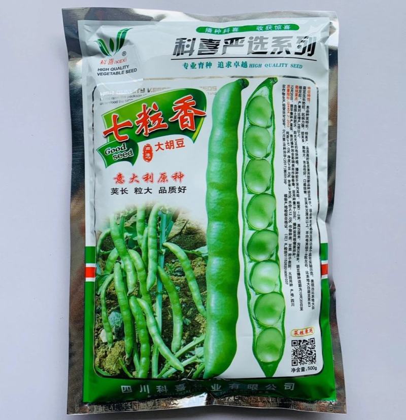 蚕豆种子七粒香荚长粒大抗病力强产量高品质好