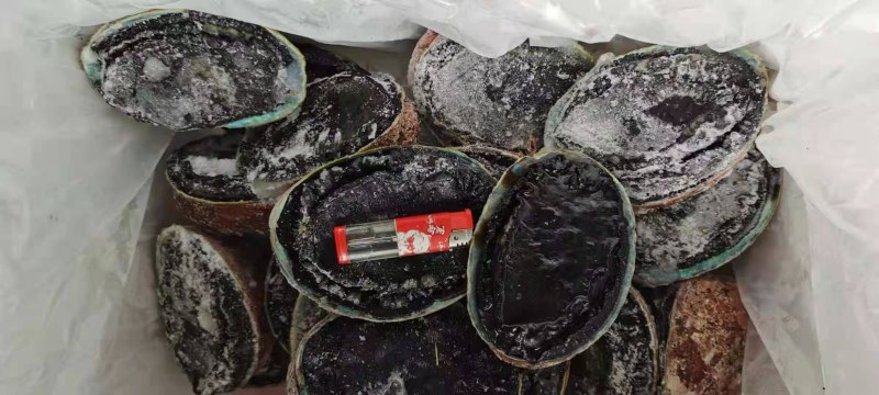 400-800g黑金鲍特价120元/斤