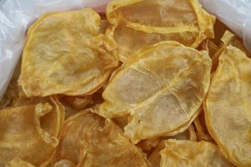 10头开边黄花胶鱼胶花胶批发条条精选口感好腥味小