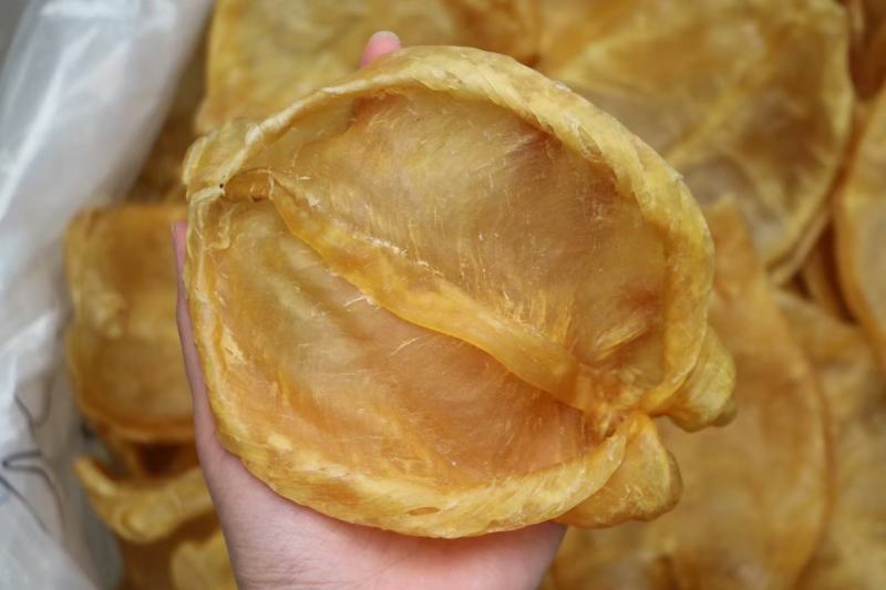 10头开边黄花胶鱼胶花胶批发条条精选口感好腥味小